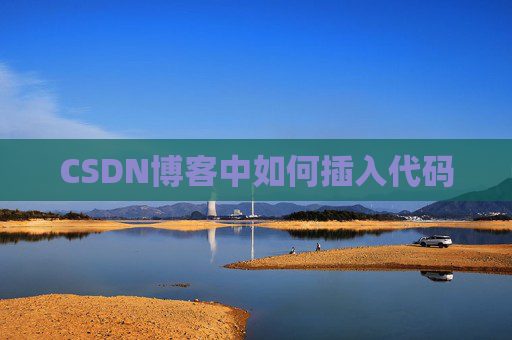 CSDN博客中如何插入代码